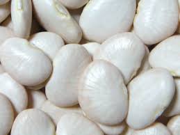 Porotos Pallares Porotos Pallares