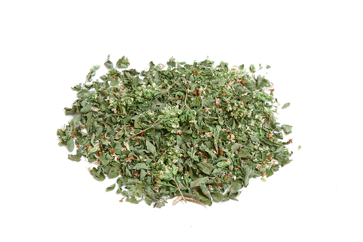 Pesto Pesto