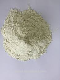 Gluten de Trigo Gluten de Trigo