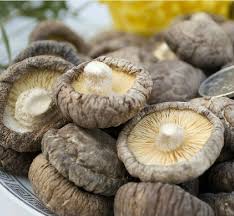 Hongos Shitake Hongos Shitake
