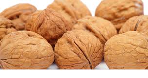 Nueces Blancas con cáscara Nueces Blancas con cáscara