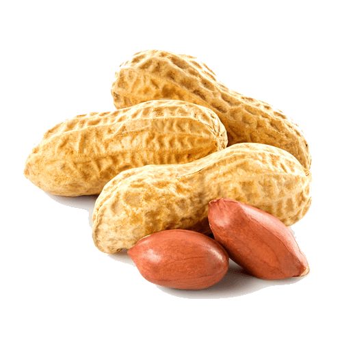 Maní con cáscara Maní con cáscara